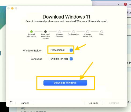 Download Windows 11 con Professional y Download Windows señalados