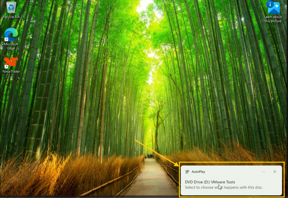 Notificación AutoPlay de VMware Tools en Windows