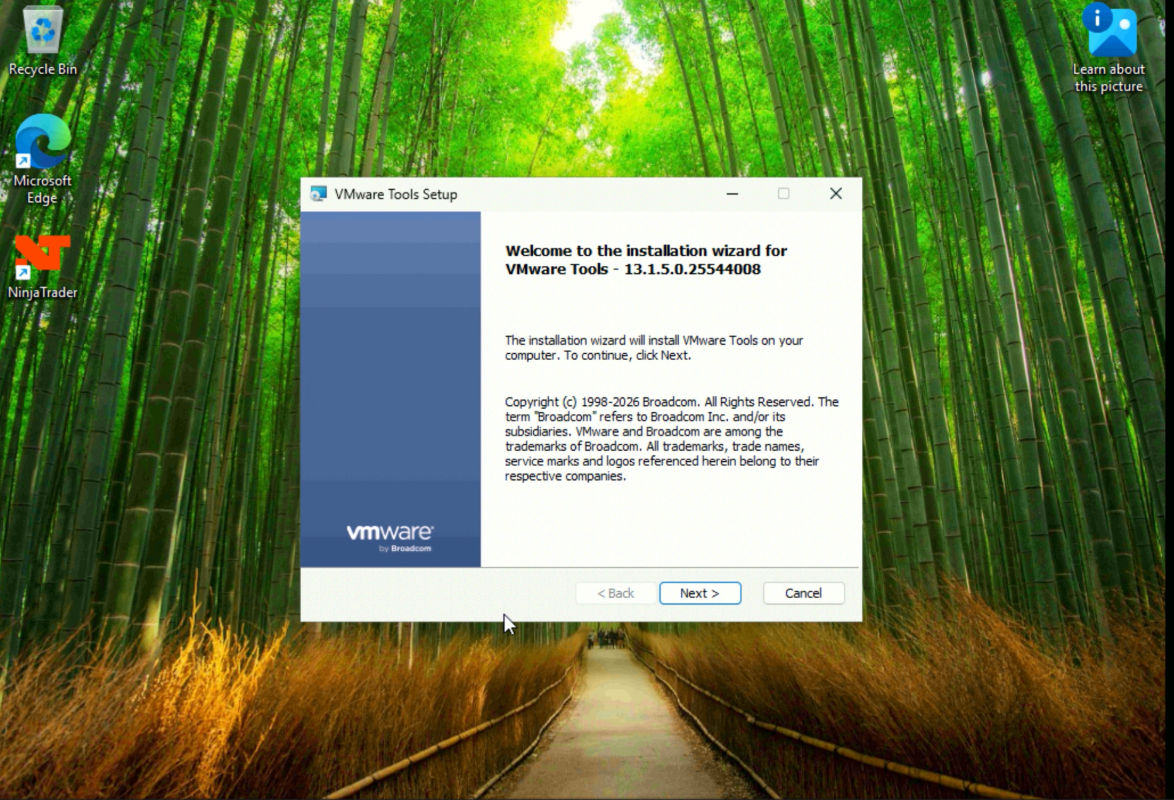 Instalador de VMware Tools en Windows